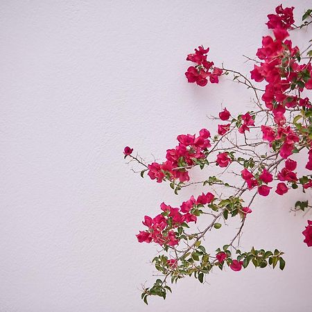Spetses Retreat Accommodation 외부 사진