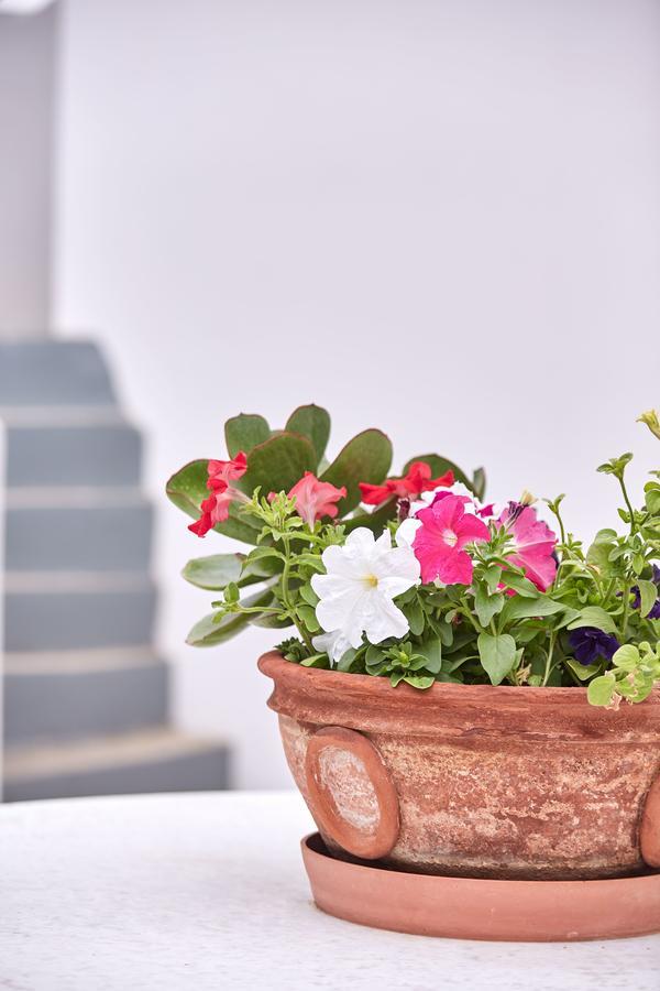 Spetses Retreat Accommodation 외부 사진